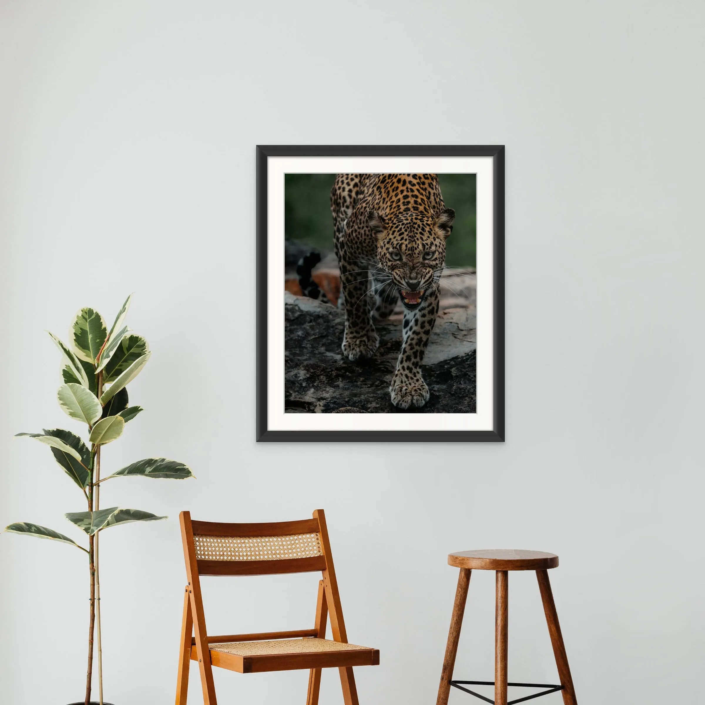 Feral Whisper shown framed on a wall.