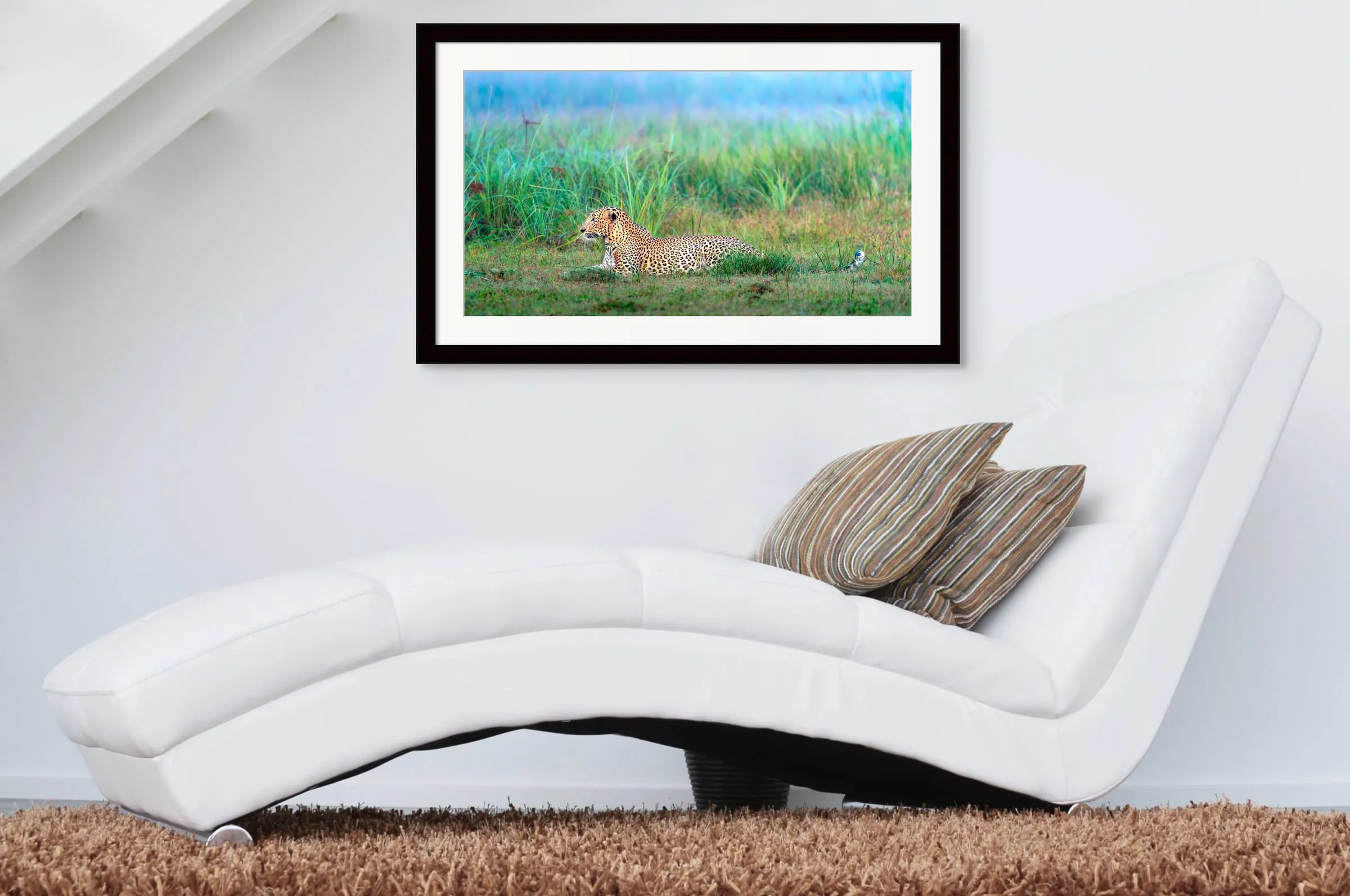 Graceful Solitude shown framed on a wall.