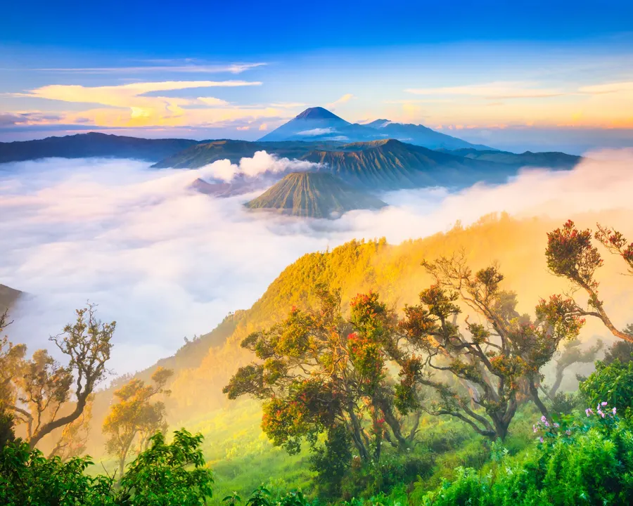 The sun rises over Mount Bromo, seen above a sea of cloud.