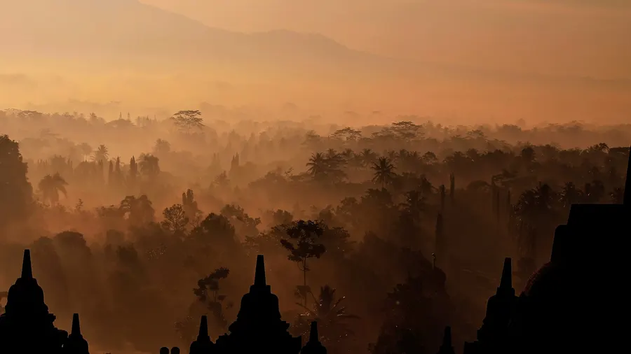 Mist over the forest at sunrise, with Borobudur’s stupas in silhouette.
