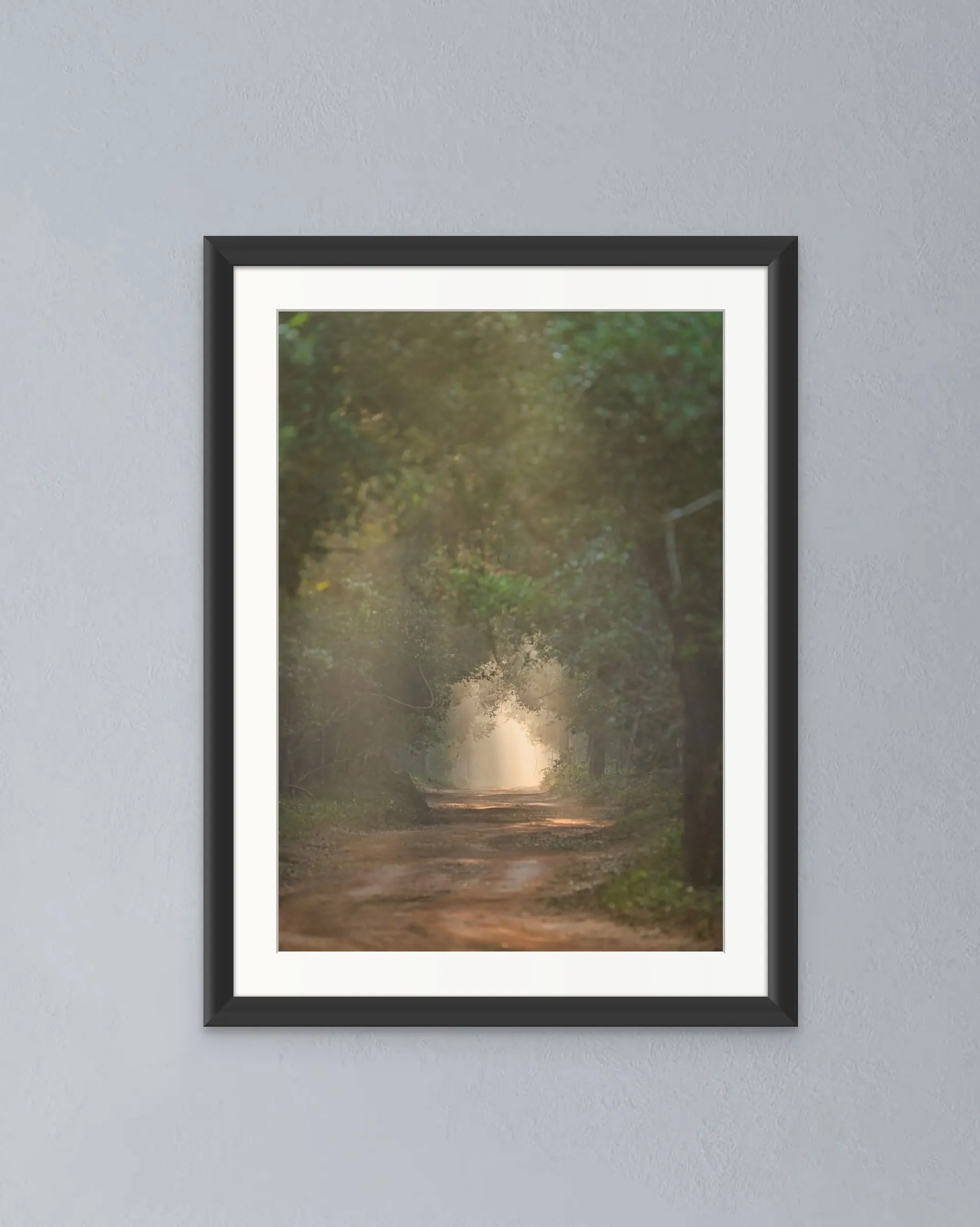 Framed print of sunlight breaking through mist at the end of a forest track.