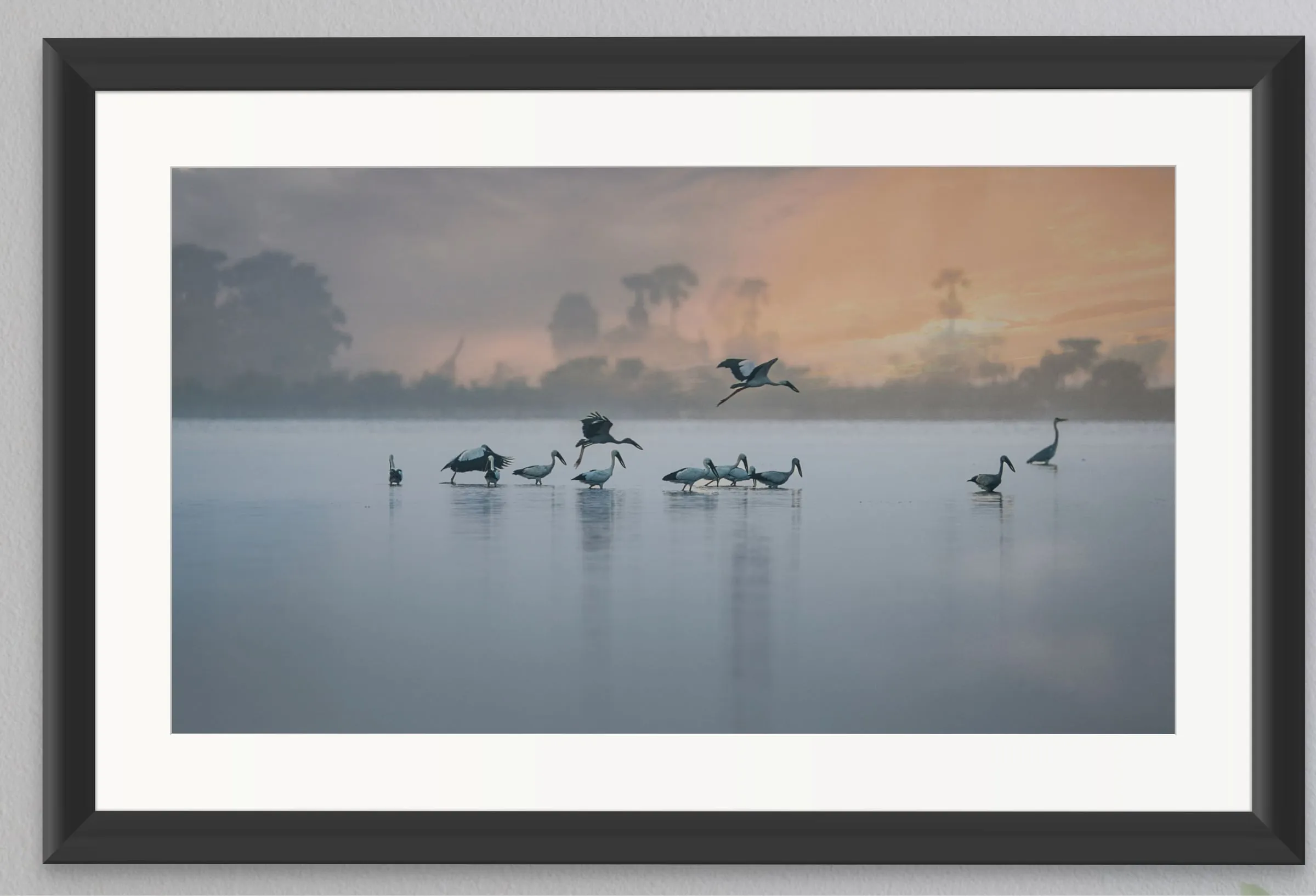Framed print of waterbirds on a misty lake at sunrise.