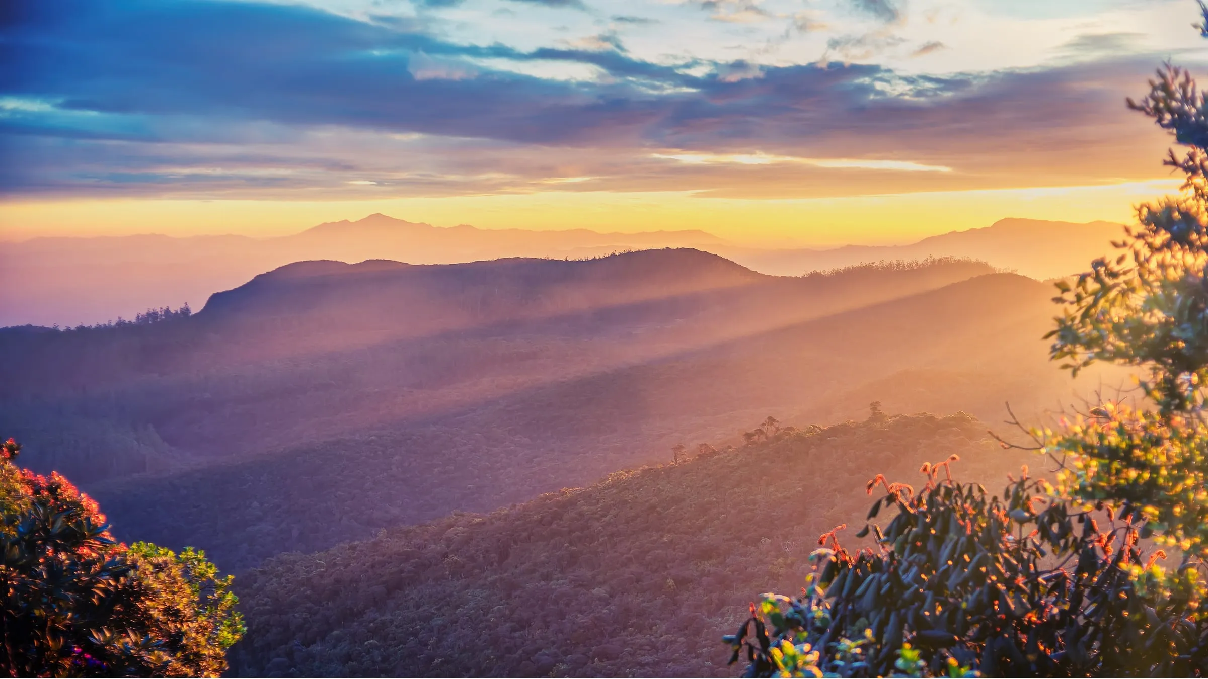 Layered highland ridges at sunrise in Horton Plains.