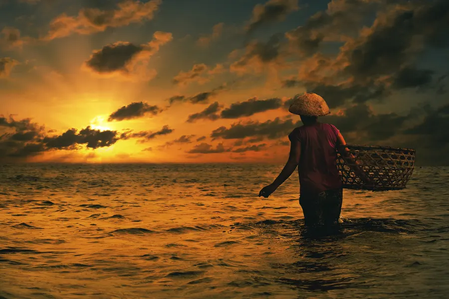 A person wearing a traditional straw hat wades in the sea at sunset, carrying a large woven basket.