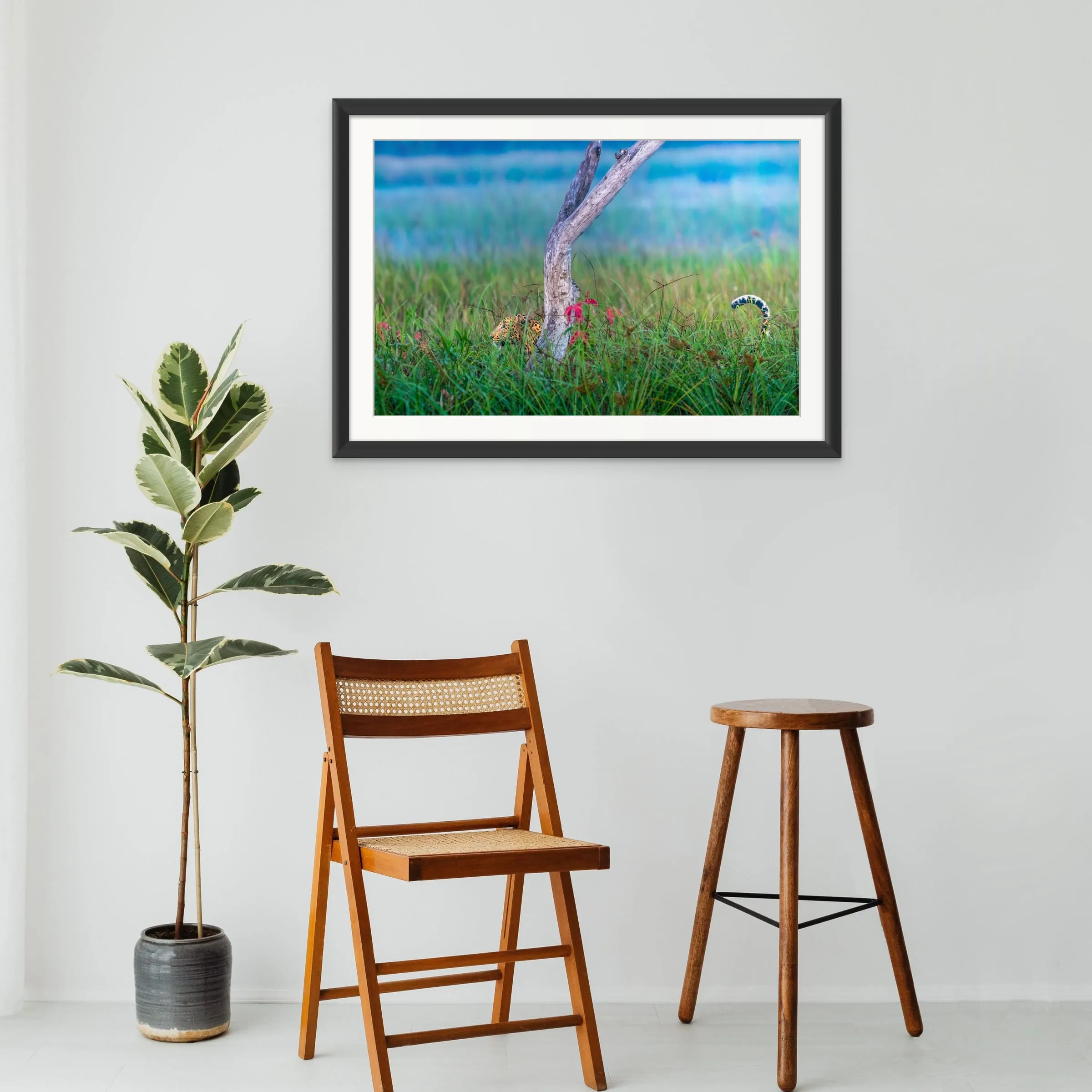 Dawn Ambush shown framed on a wall.